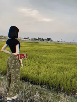 Song loy 🎼💫🌟