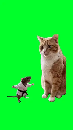 Karate mouse