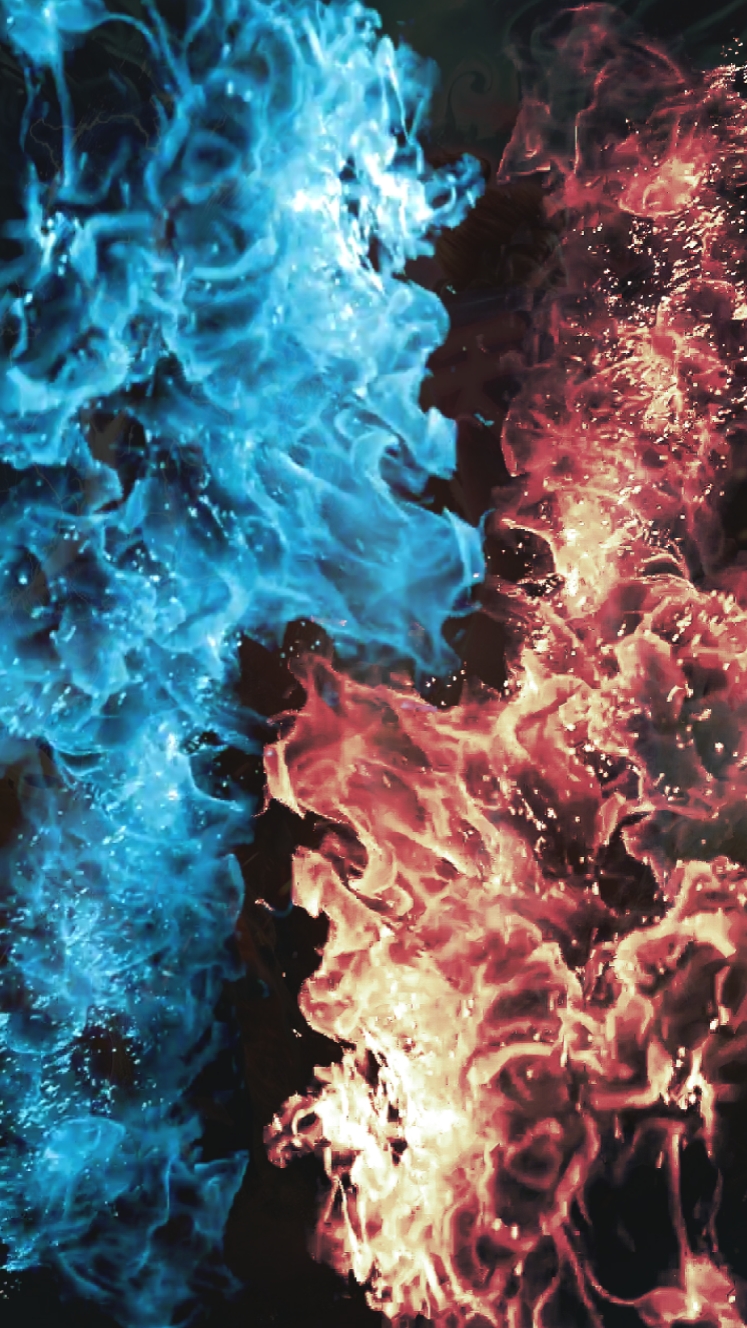 Cover Picture