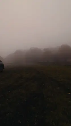 Karadeniz vibe