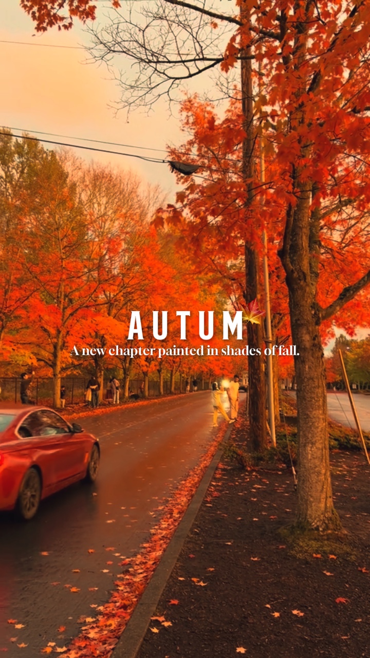  GoldenFall