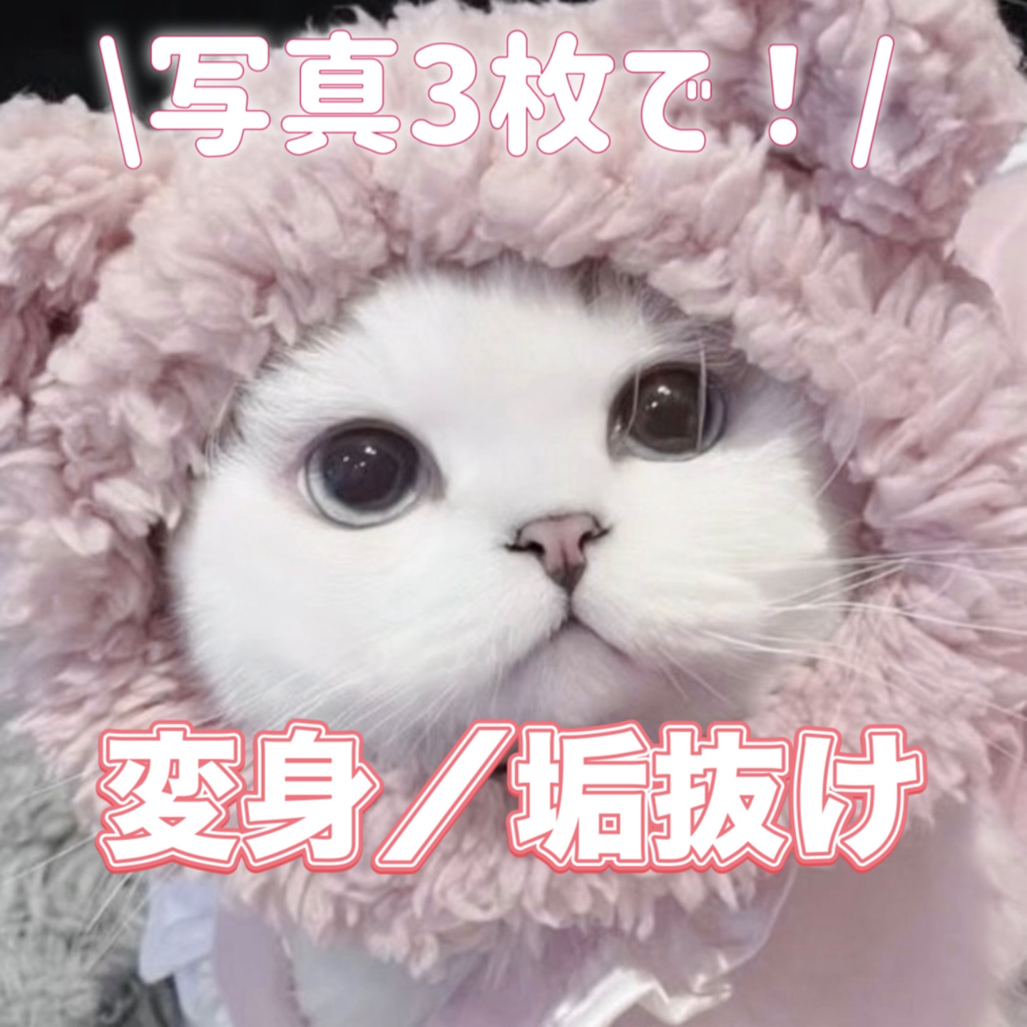 変身／垢抜け動画✨📷3枚！