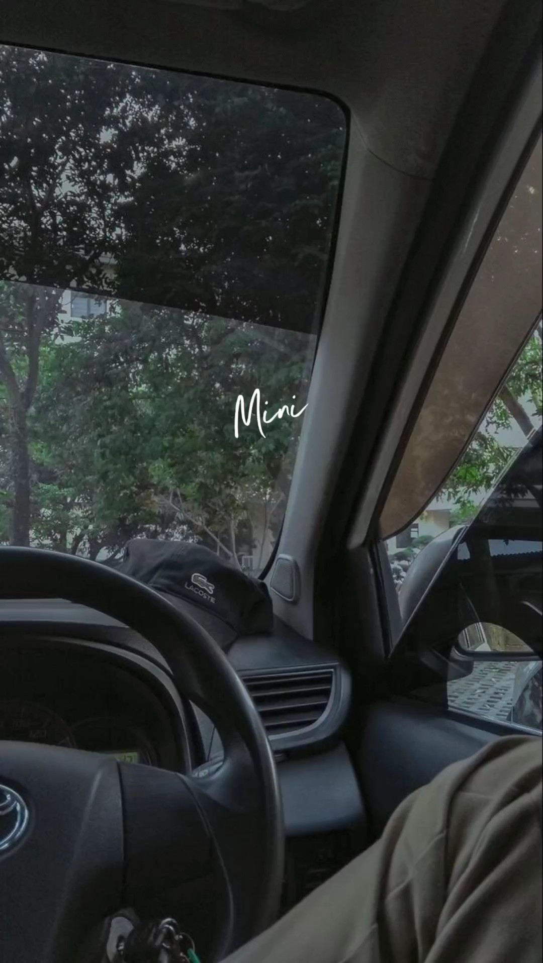 Vlog de abertura