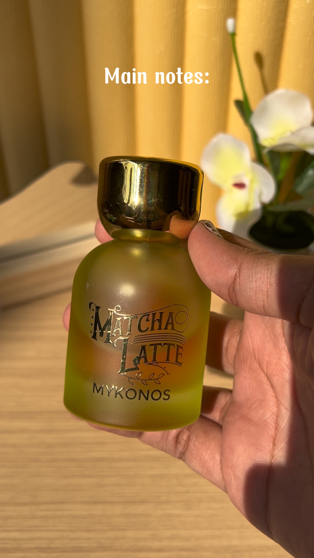 REVISÃO DO PRODUTO✨
