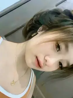 fotolive