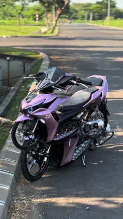 Happy Nation Hodtrap