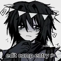 edit comp entryyy