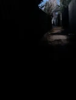 i will leave