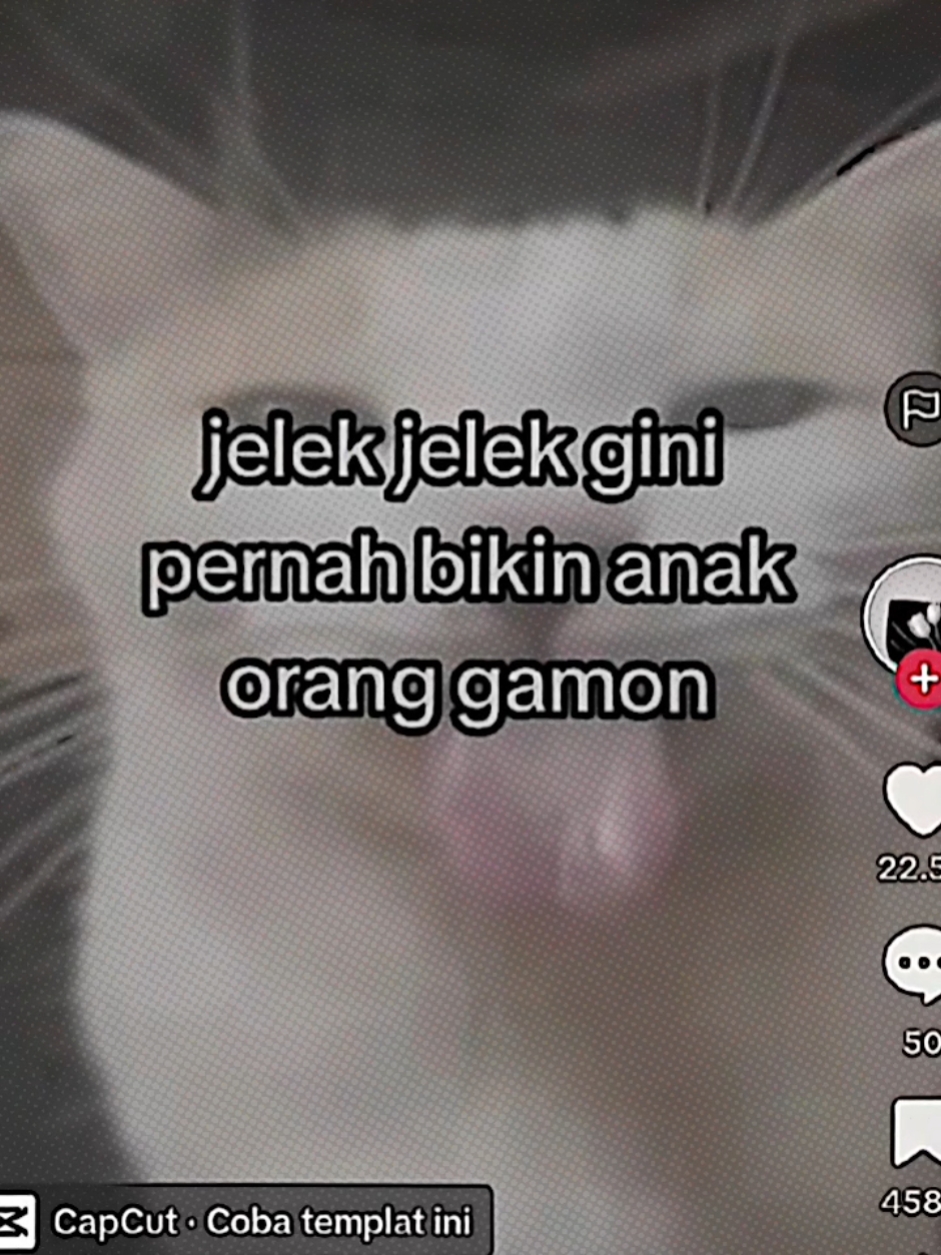 JELEK JELEK GINI