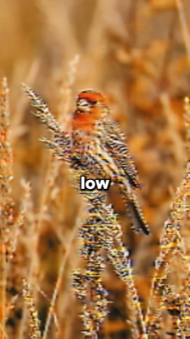 low to high