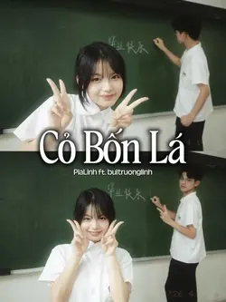 CỎ BỐN LÁ 1 ẢNH