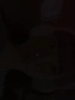 1 VIDEO 8 PHOTO