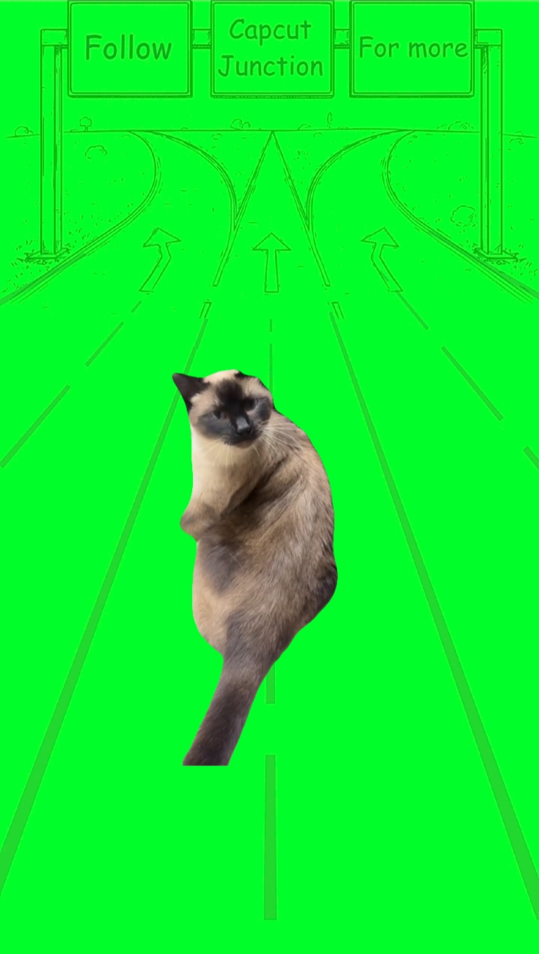 Lenço umedecido 