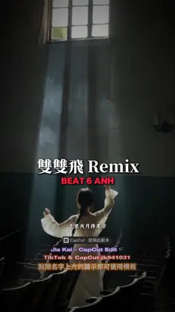雙雙飛 Remix