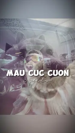 BEAT 3 ẢNH NHẸ NHÀNG