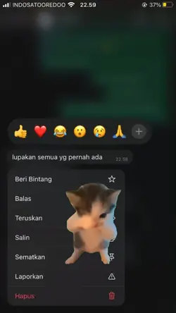 kicau mania 