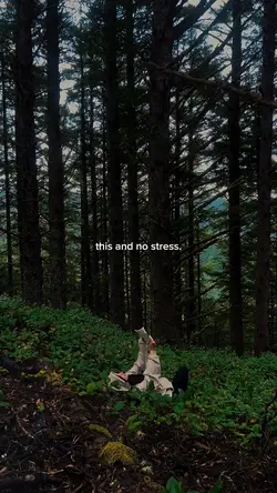 this and no stress
