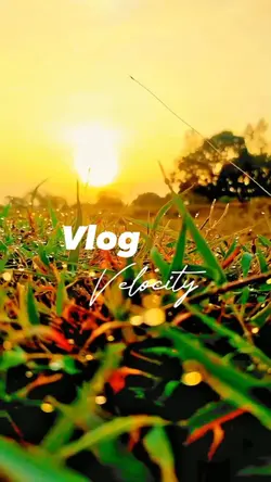 Vlog Velocity