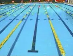 Swimmin