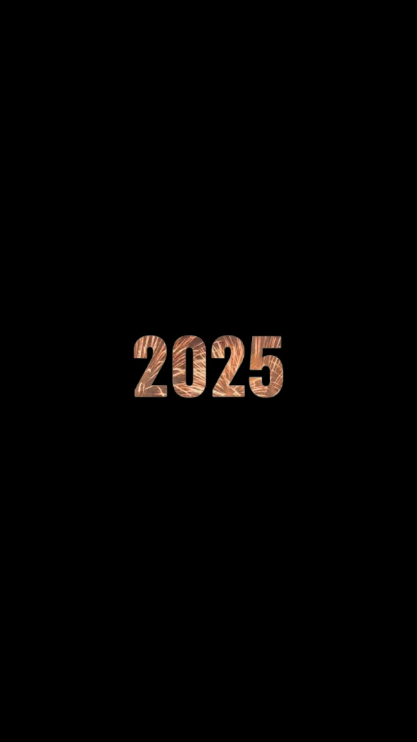 2025 özeti