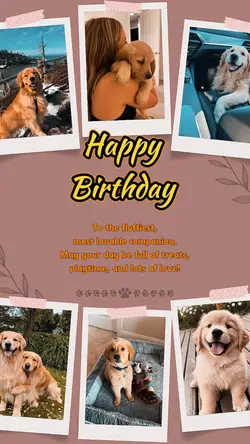 Pet Birthday 