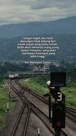 quotes