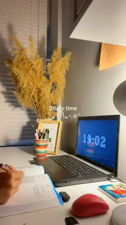 Study Time 