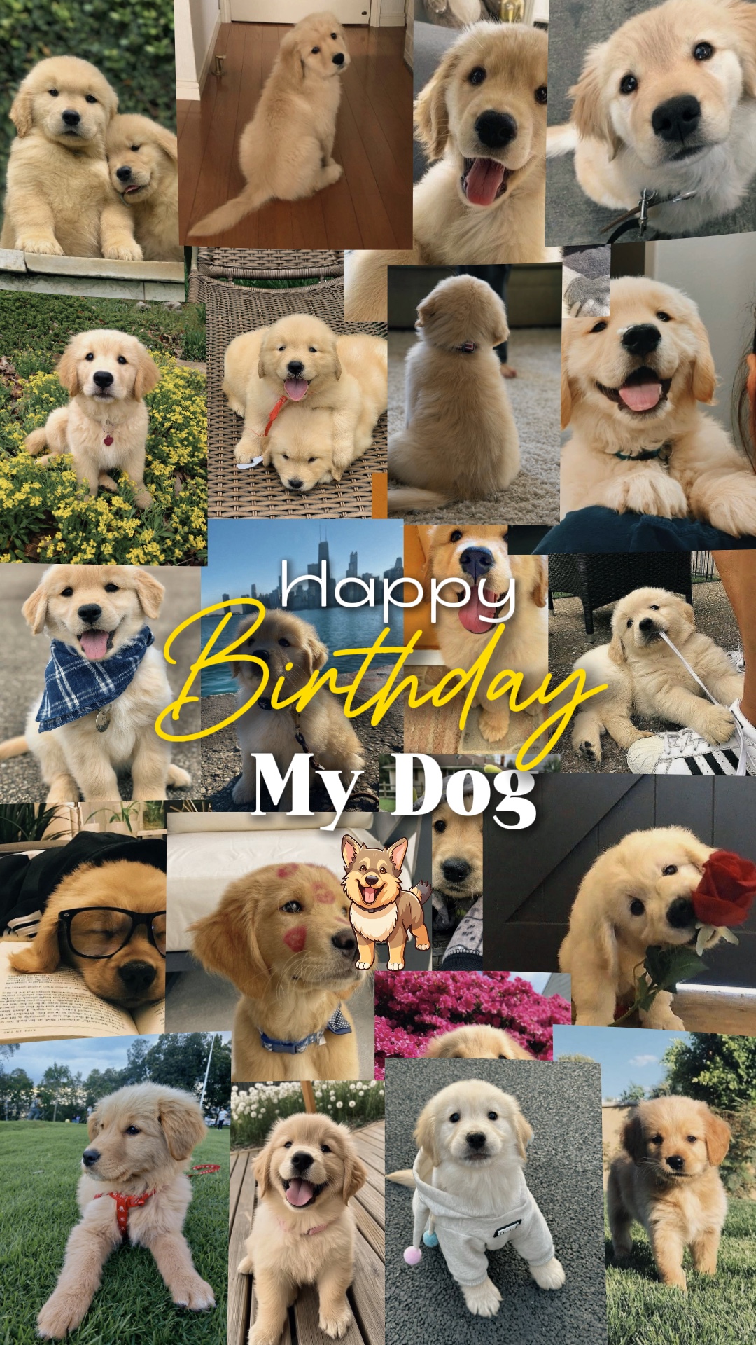 Birthday my dog