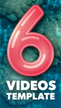 6 Videos