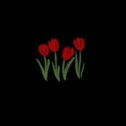 ────୨ৎ────