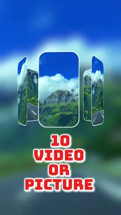 10 video or picture 