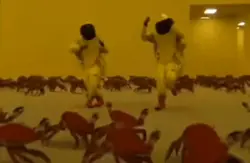 웃긴백룸