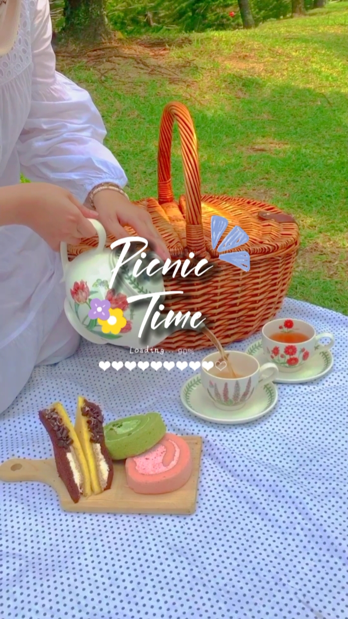 Vlog Picnic