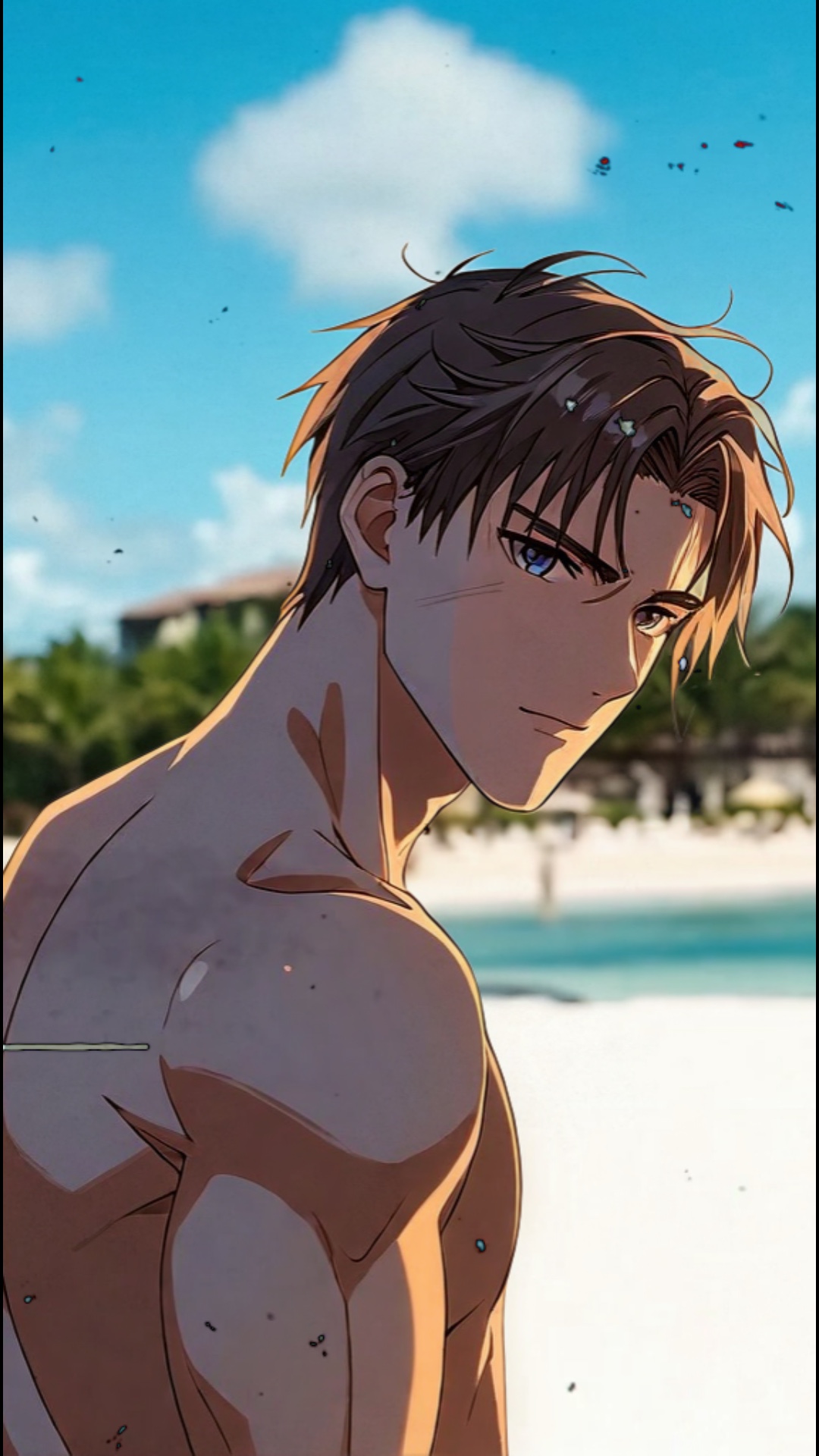 Cover Picture