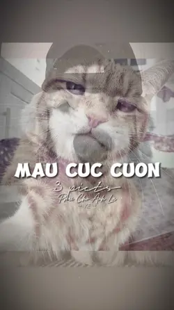 BEAT 3 ẢNH NHẸ NHÀNG