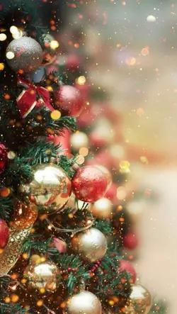 Natal