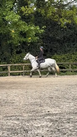 Equestrian slowmo‼️AI