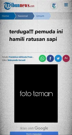 hamili ratusan
