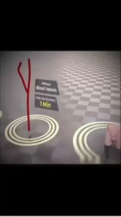 Có tất cả nhưng mất 