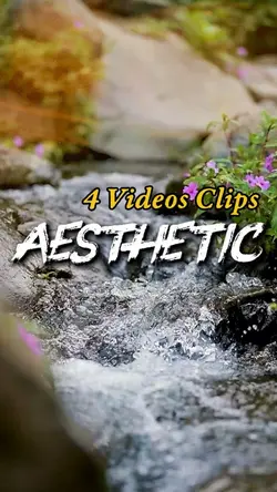 Aesthetic 4 Videos