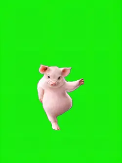 Pig dancing