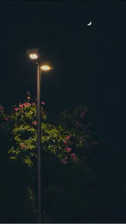1.3