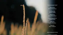 The End Film