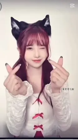 追星