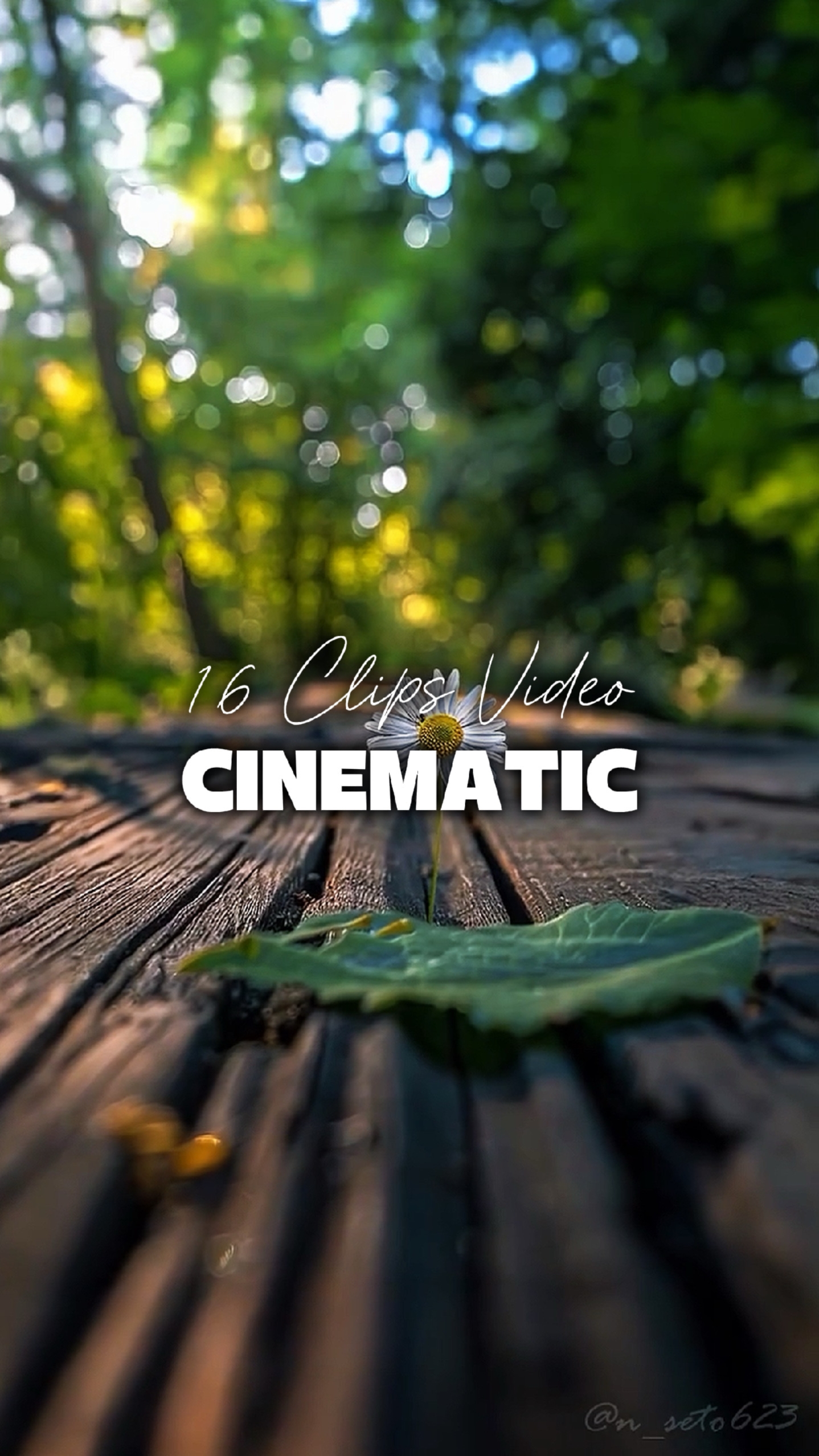 16 Mga Video Cinematic 