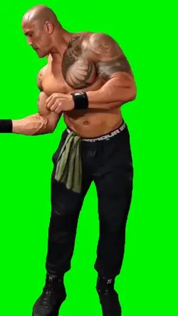 GREENSCREEN MEME