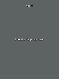Sea diver
