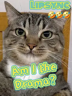 Am I the drama? 