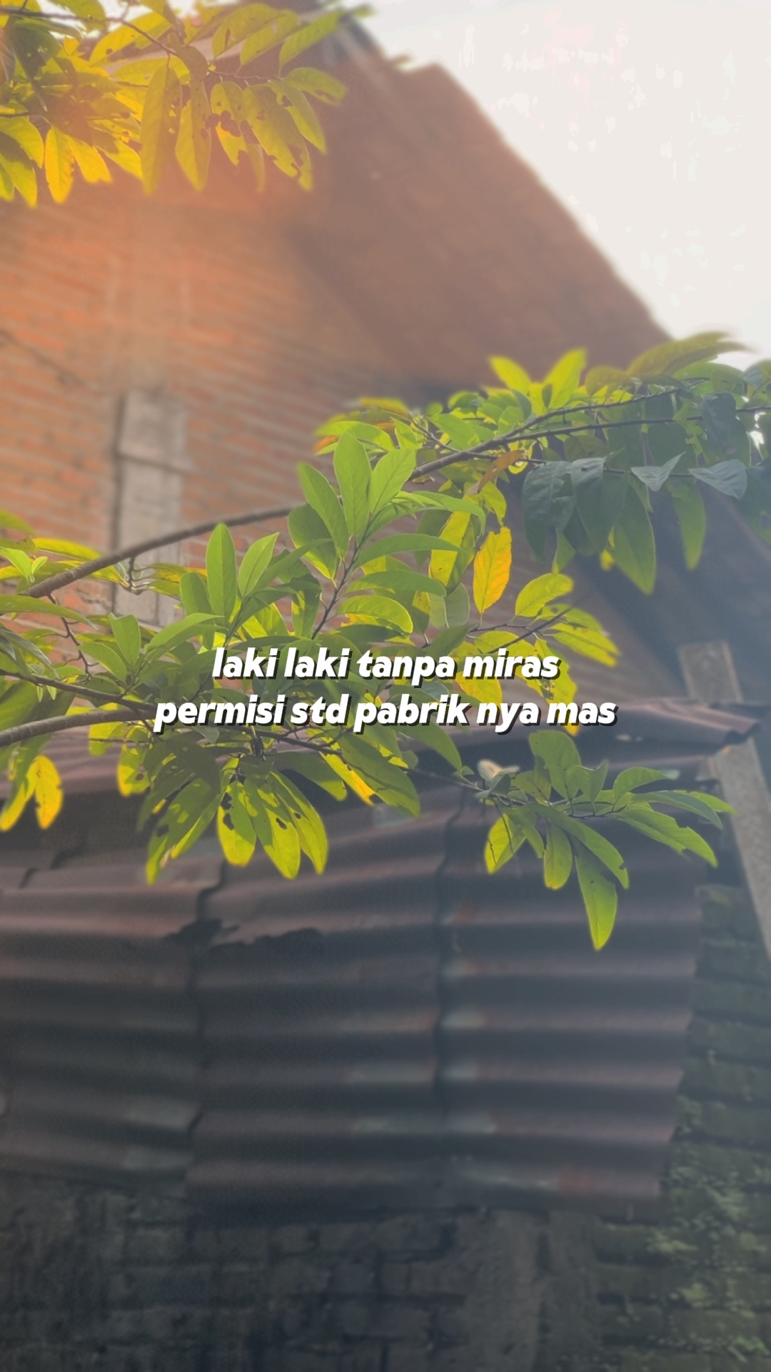LAKI TANPA MIRA