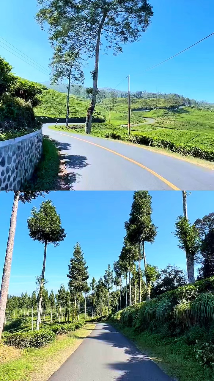 2 video 1 layout